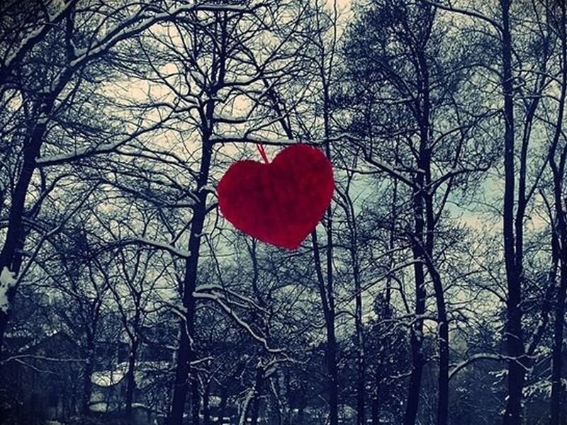 Red Heart in Winter Forest