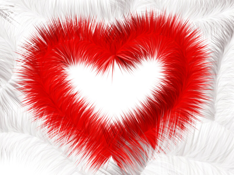 Red Heart Made of Feathers