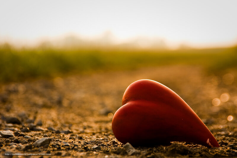 Red heart on a dirt path