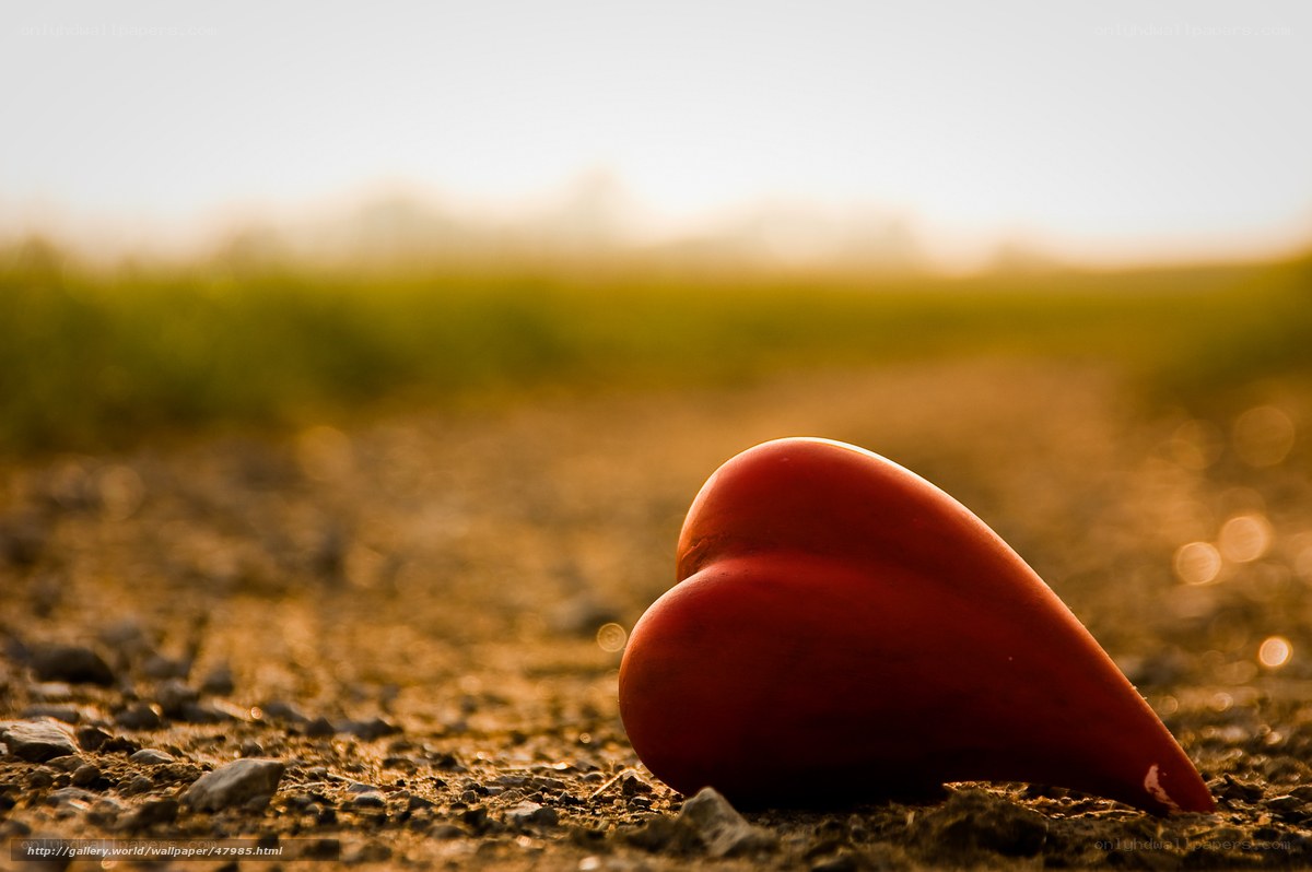 Red heart on a dirt path