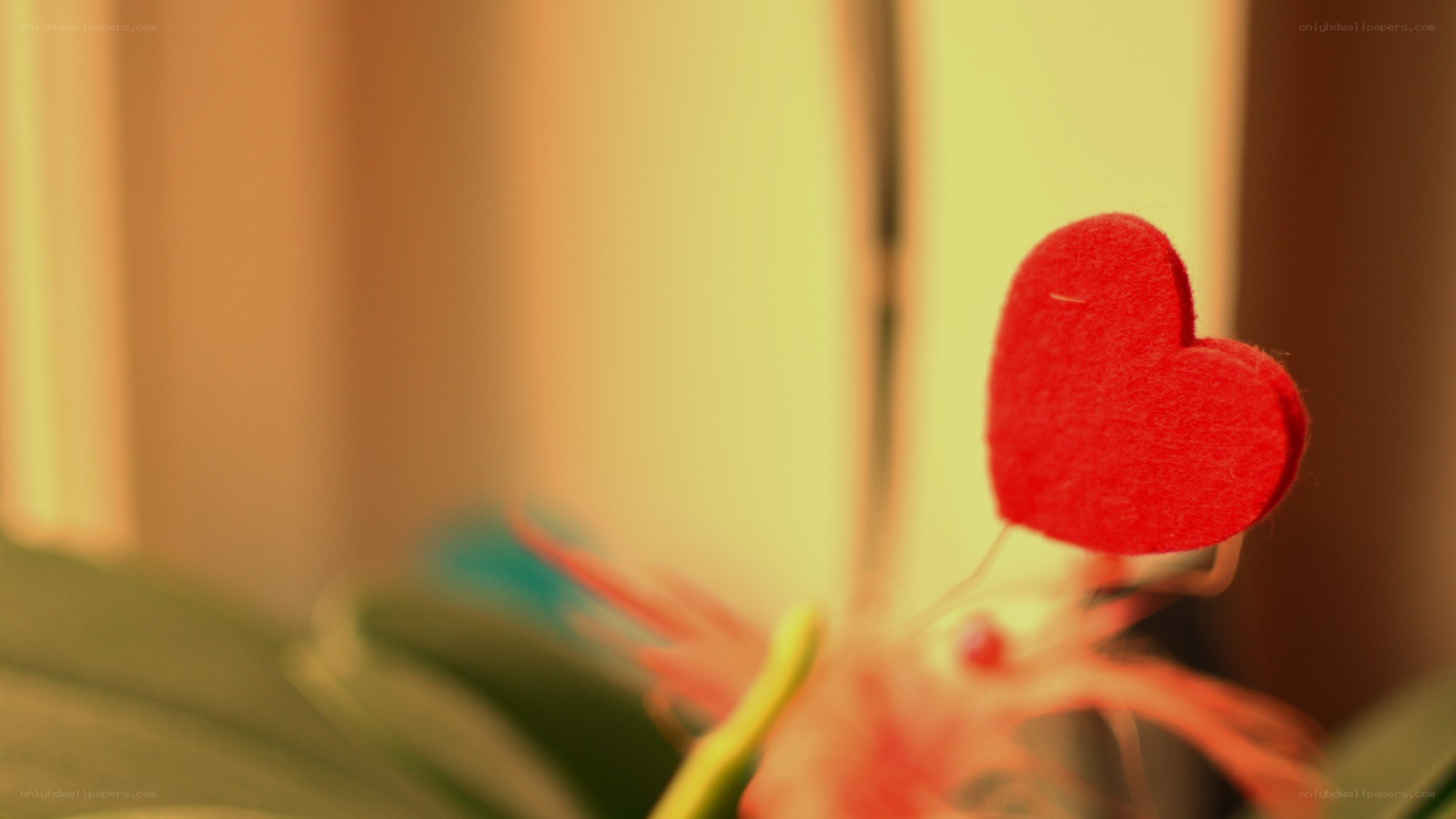 Red heart on a plant