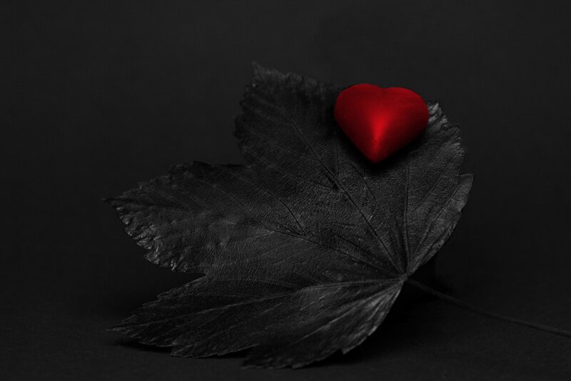 Red Heart on Black Leaf