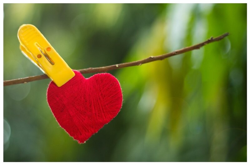 Red Heart on Branch