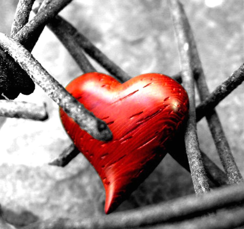 Red Heart on Branches