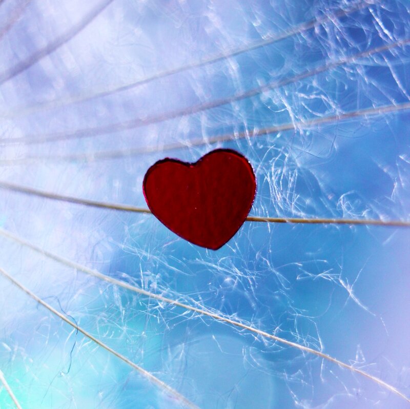 Red Heart on Dandelion