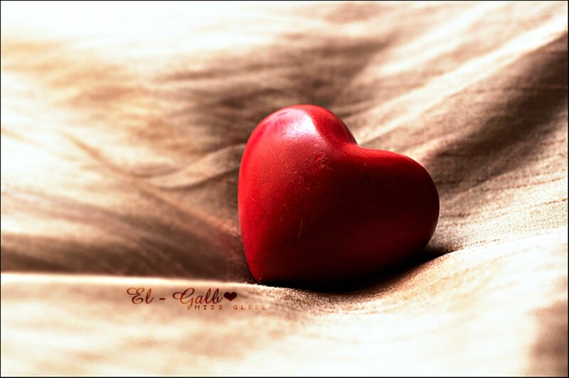 Red Heart on Fabric — Calm