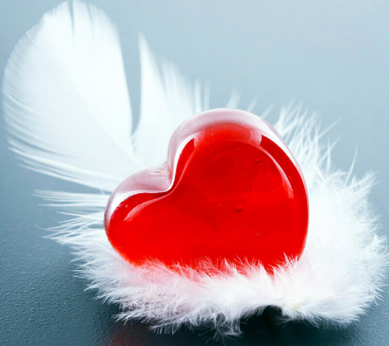Red Heart on Feather — Serene