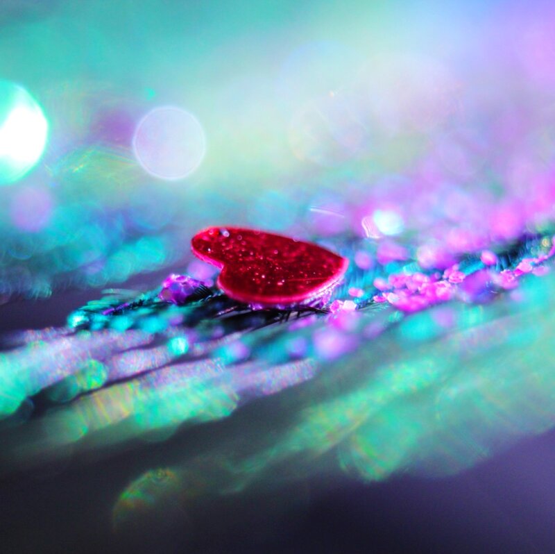 Red Heart on Feather