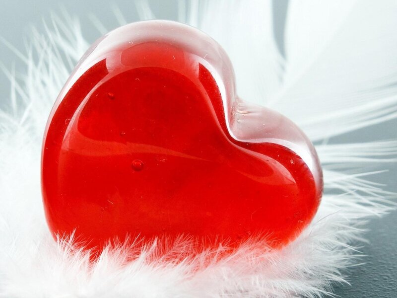 Red Heart on Feathers