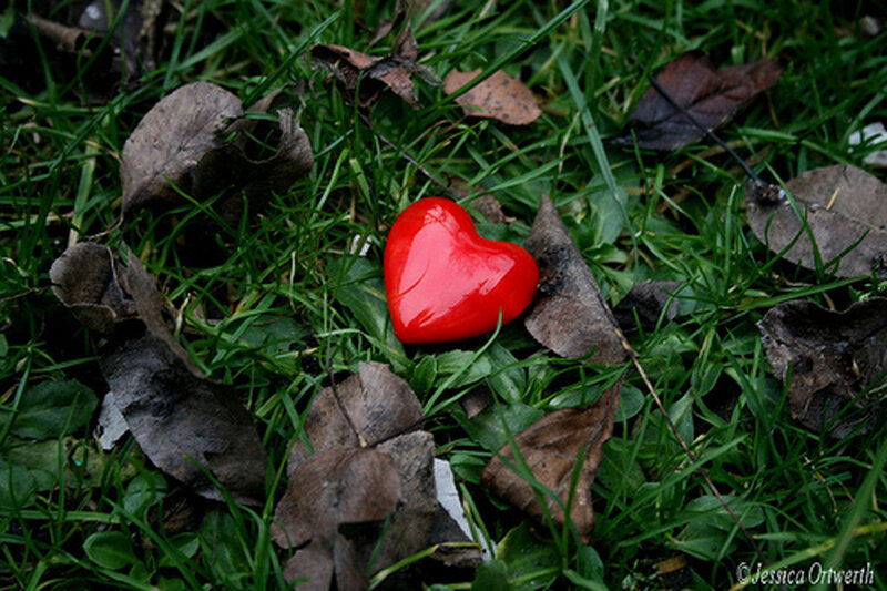 Red Heart on Grass