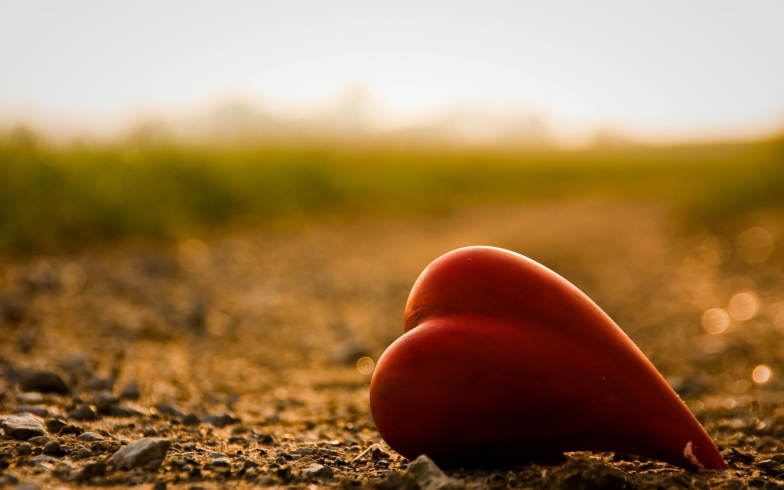 Red heart on gravel path