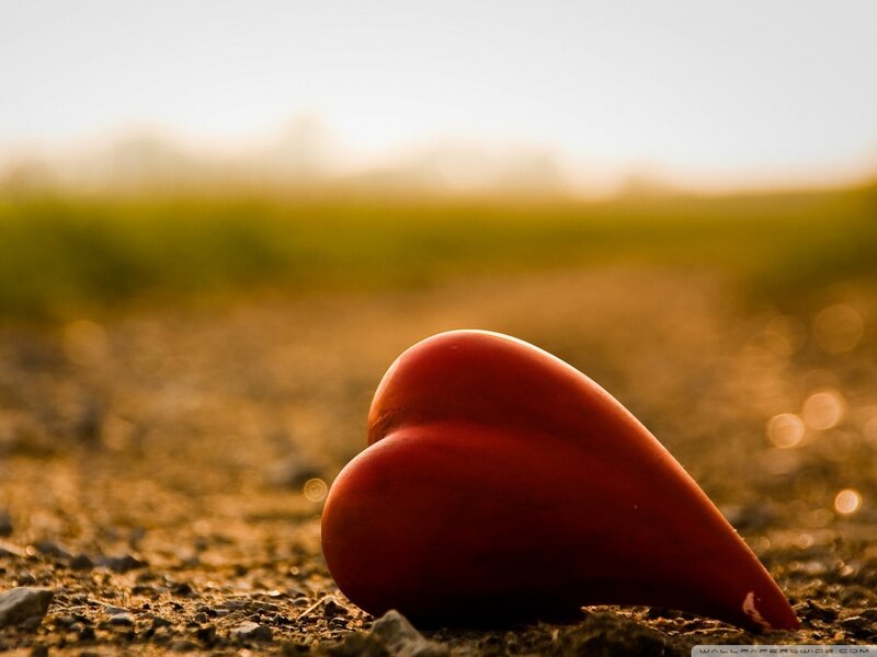 Red Heart on Ground — Serene, Sunset