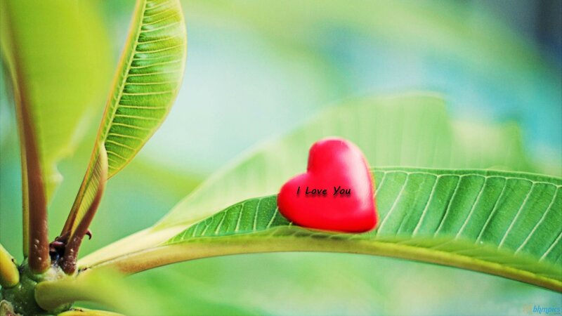 Red Heart on Leaf — Green