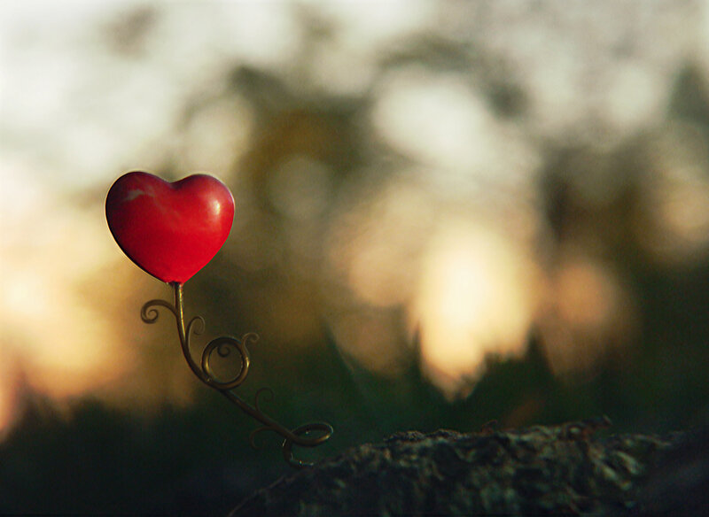 Red Heart on Metal Stand