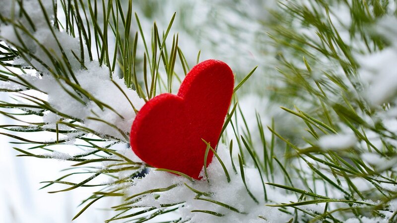 Red Heart on Pine Branch — Peaceful