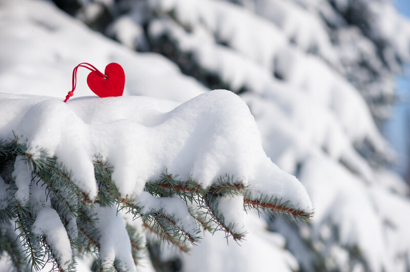 Red Heart on Snow-covered Branch