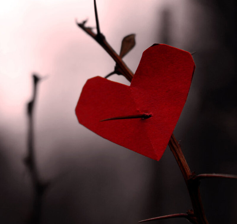 Red Heart on Thorn