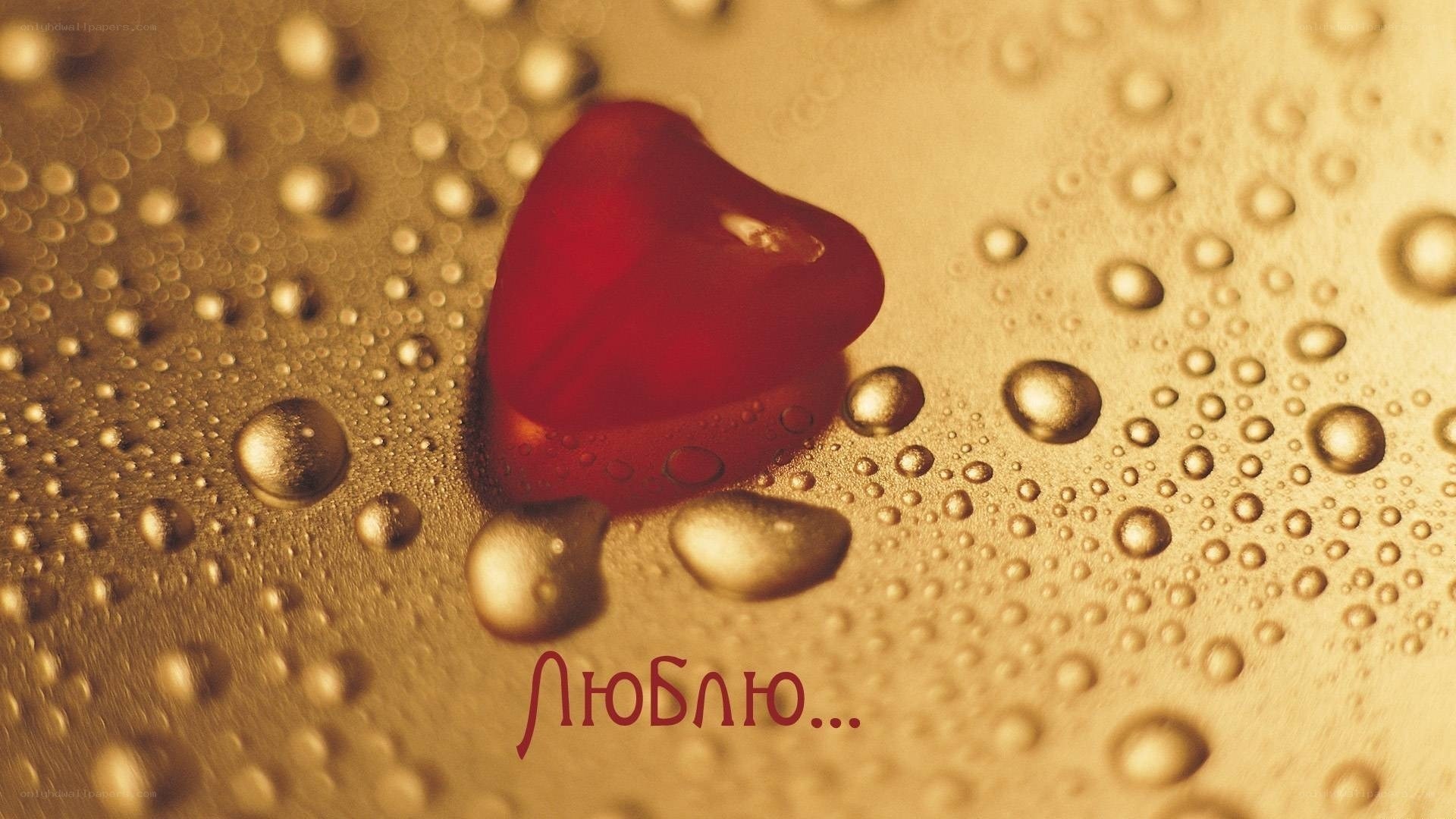 Red heart on wet surface