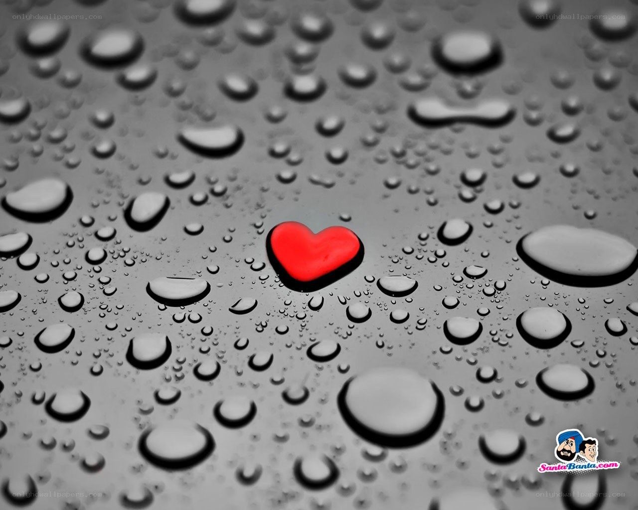 Red heart on wet surface