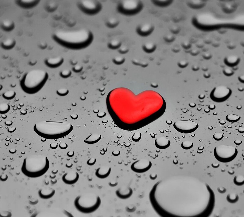 Red Heart on Wet Surface — Calm, Photograph
