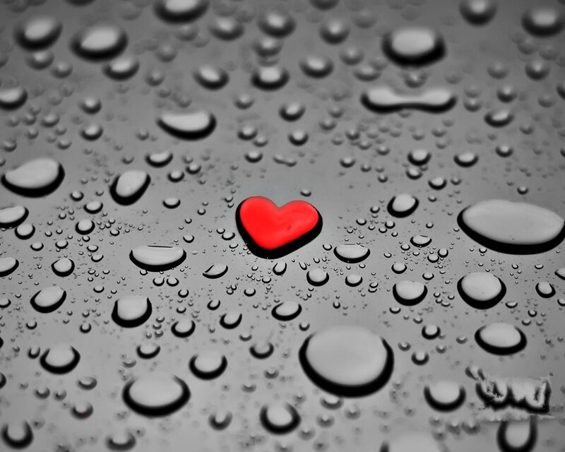 Red Heart on Wet Surface — Gray