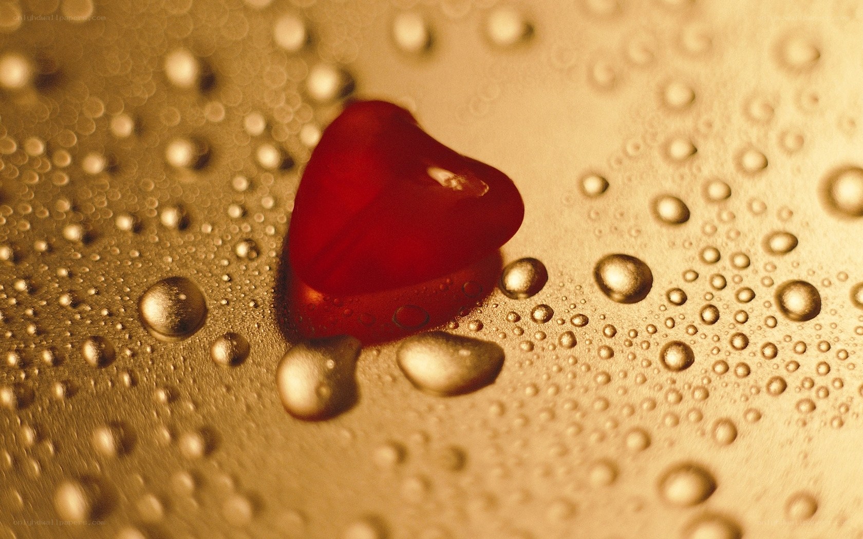 Red heart on wet surface
