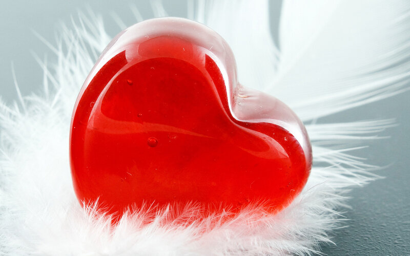 Red Heart on White Feathers — Serene