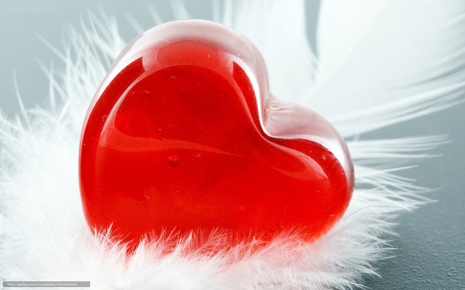 red heart on white feathers