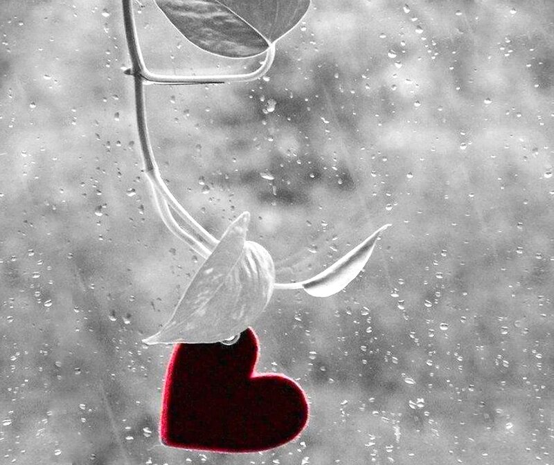 Red Heart on Window — Black