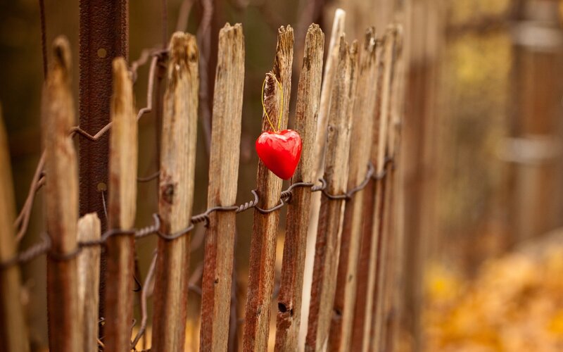 Red heart on wooden fence