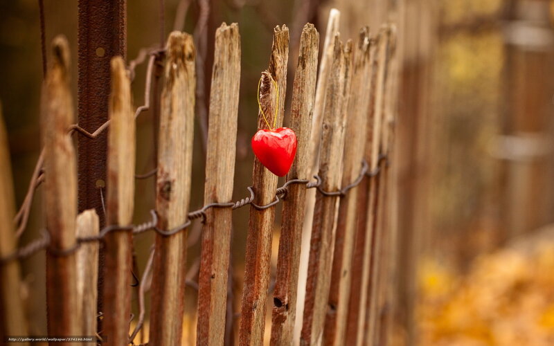 Red heart on wooden fence