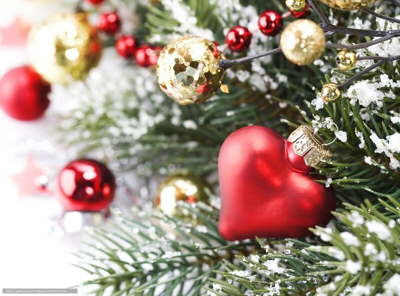 Red Heart Ornament — Festive, Winter, Photograph, Pine Branches