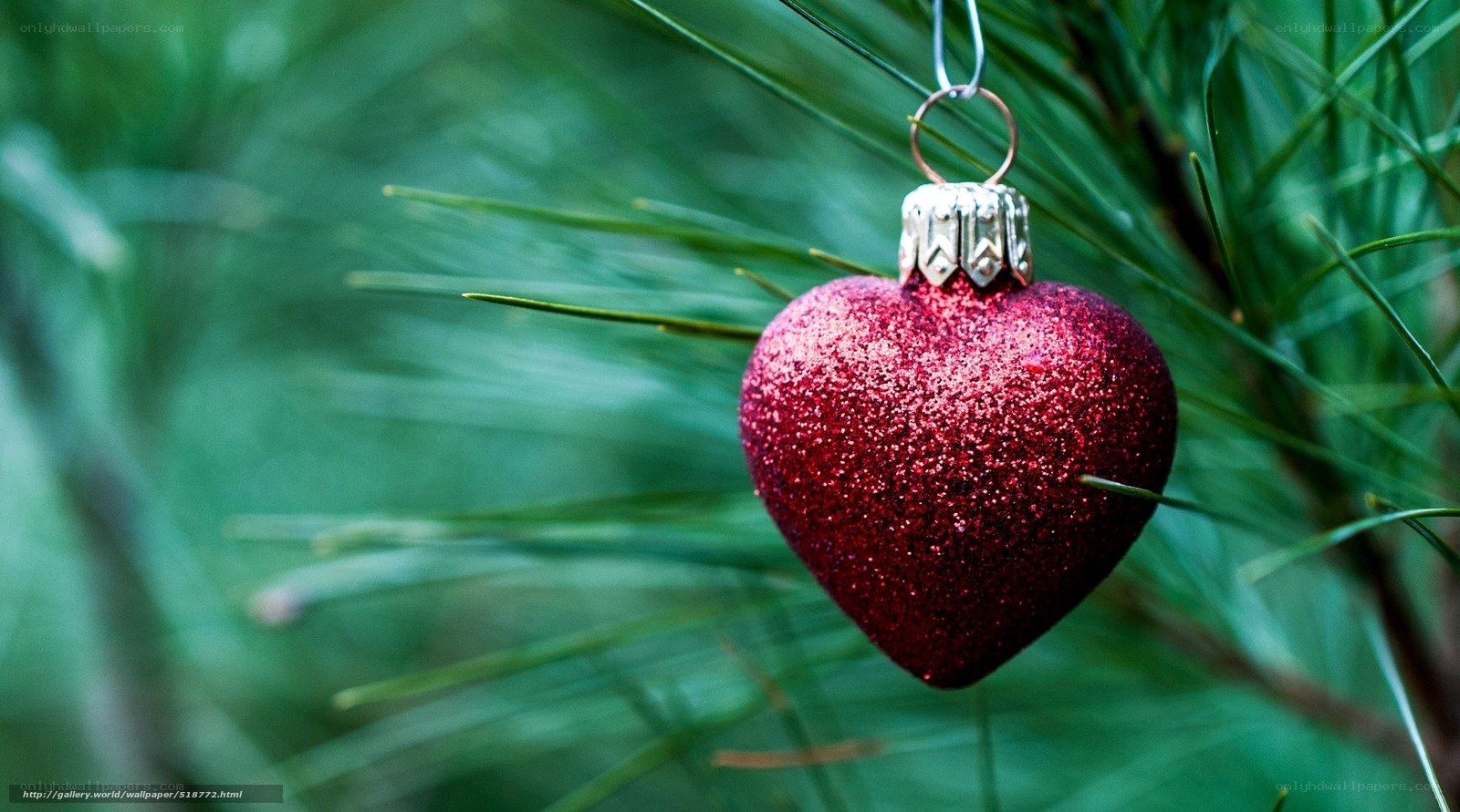 red heart ornament on pine