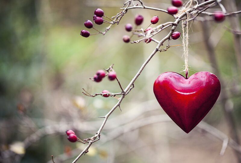 Red Heart Ornament — Serene, Autumn