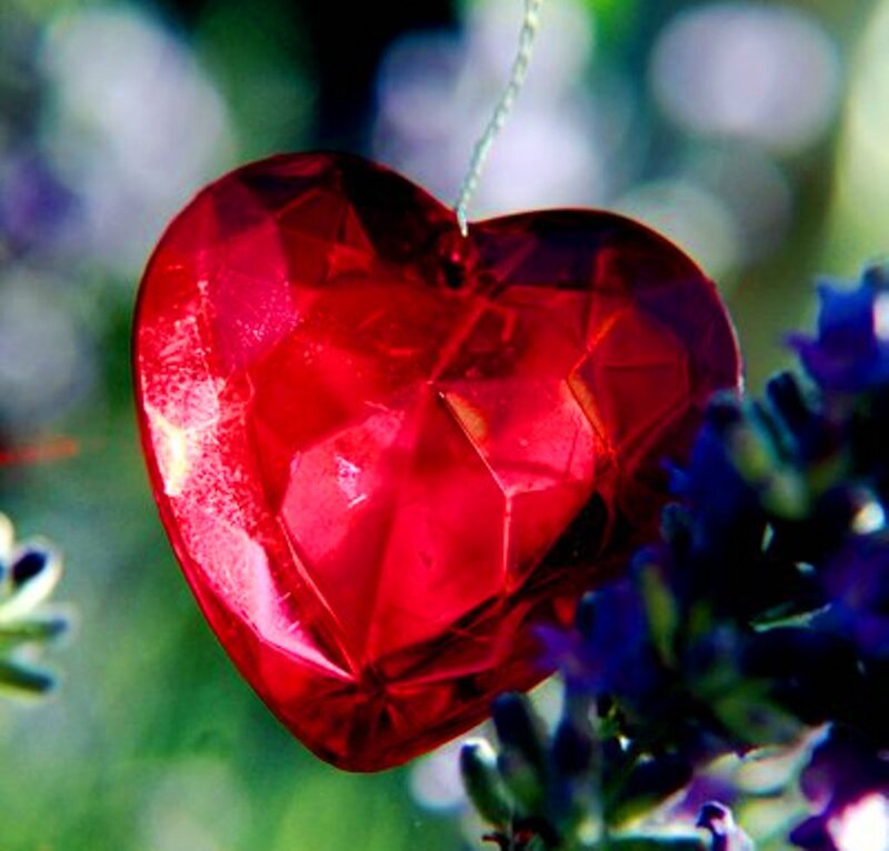 Red Heart Ornament — Serene, Photograph