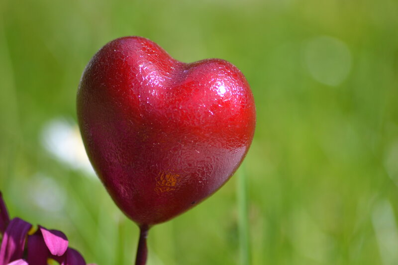 Red Heart Ornament — Serene