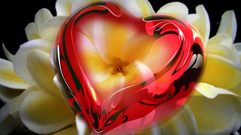 Red Heart over Flower — Dramatic