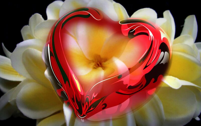 Red Heart over Flower