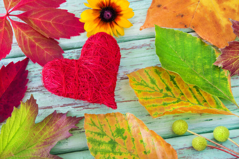 Red Heart with Autumn Leaves — Calm