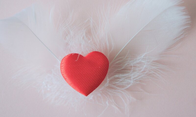 Red Heart with Feathers — Serene, Photograph