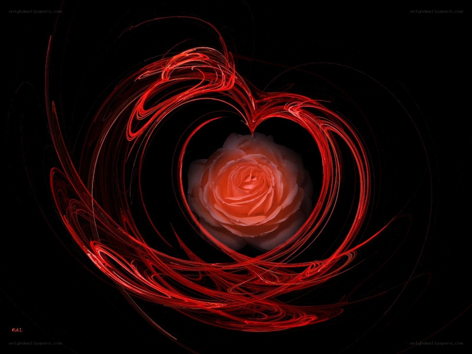 Red heart with rose center