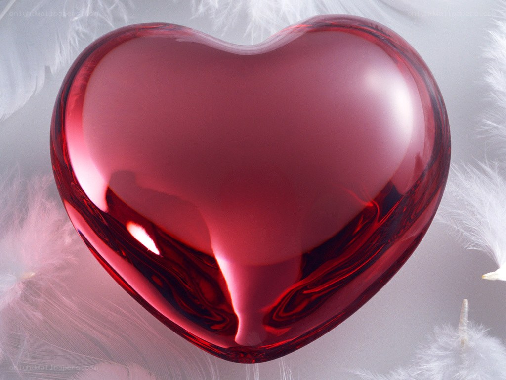 red heart with white feathers