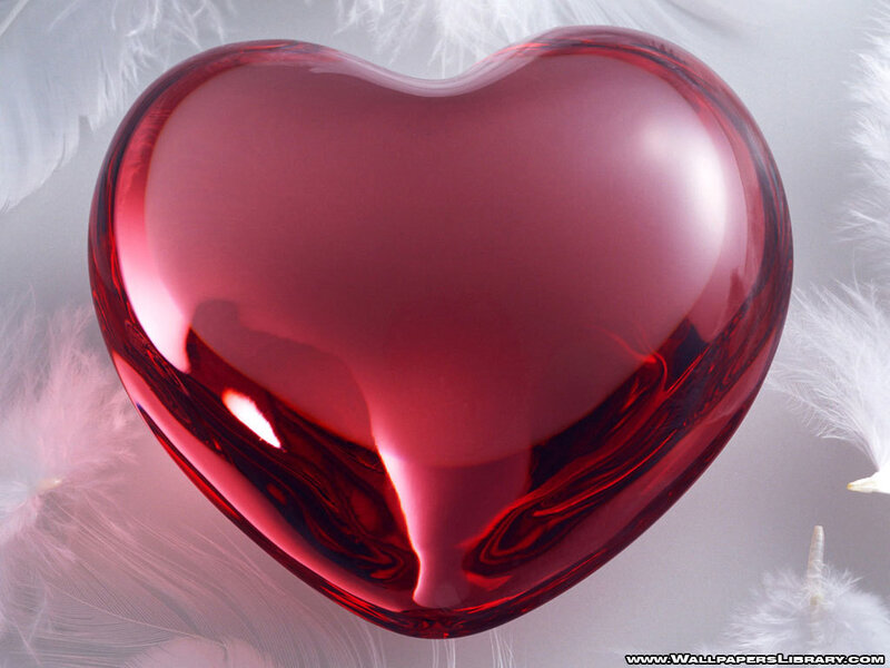red heart with white feathers