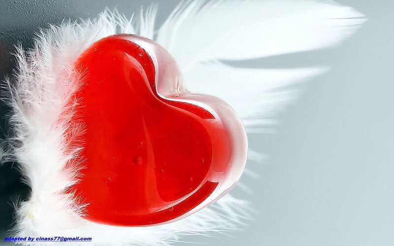Red Heart with White Feathers — Serene