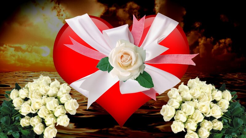 Red Heart with White Roses