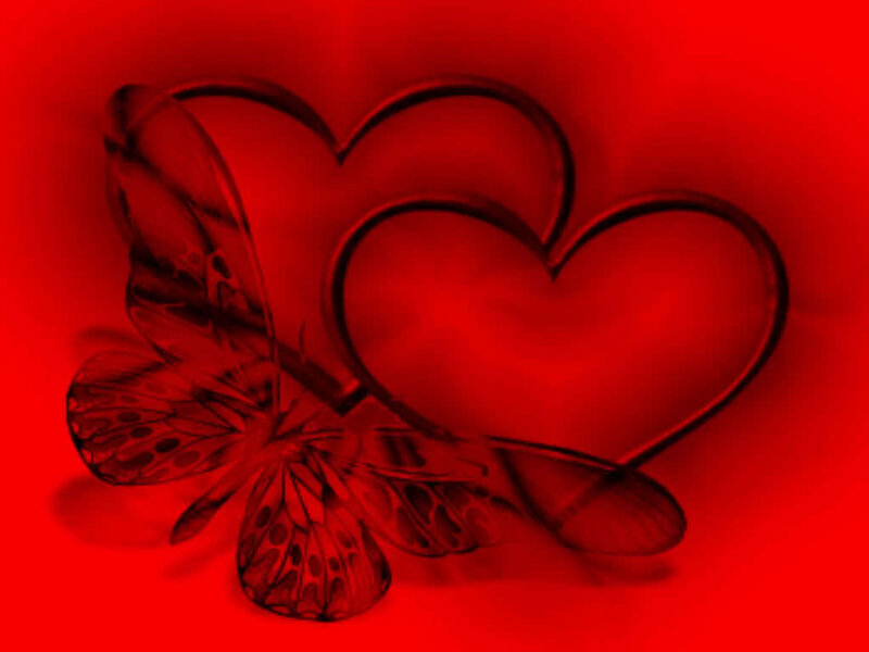 red hearts and butterfly
