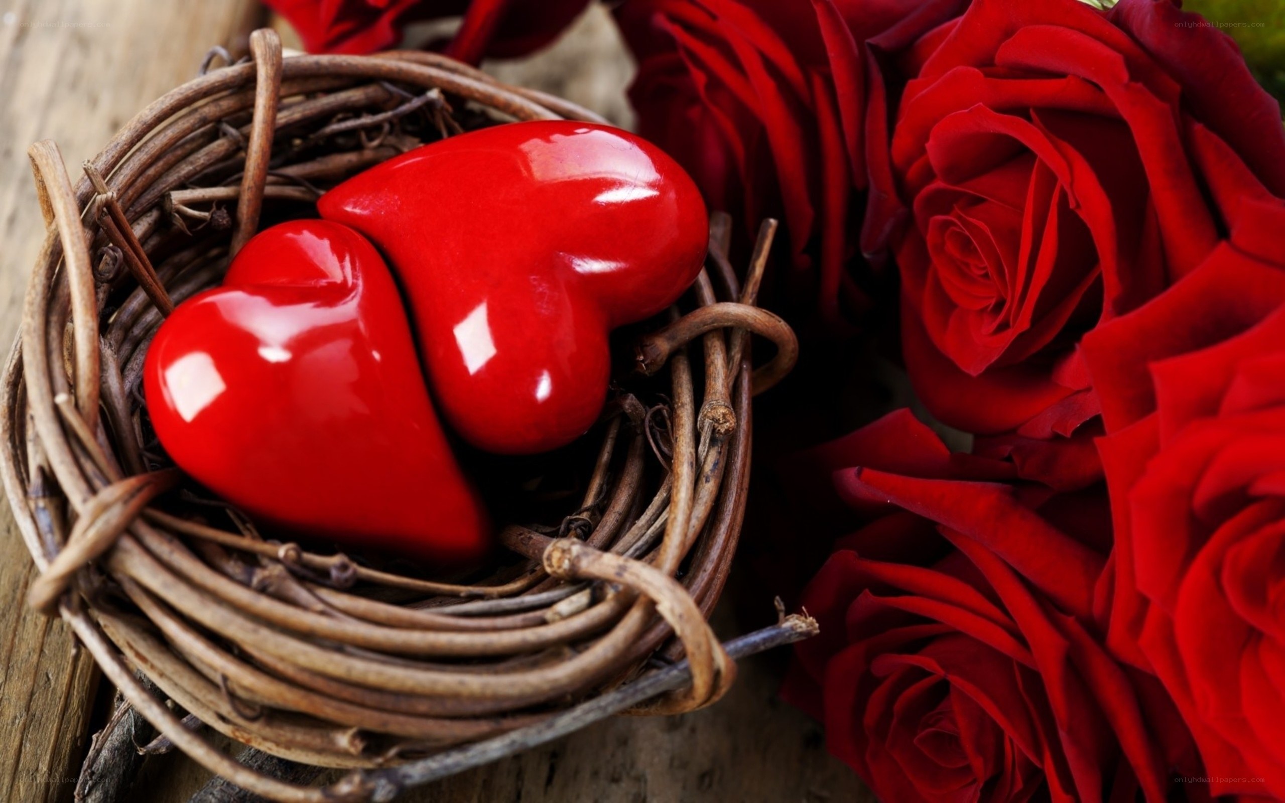 Red hearts in a nest