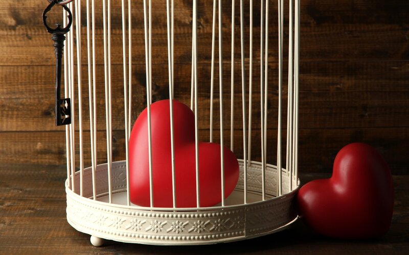 Red Hearts in Birdcage