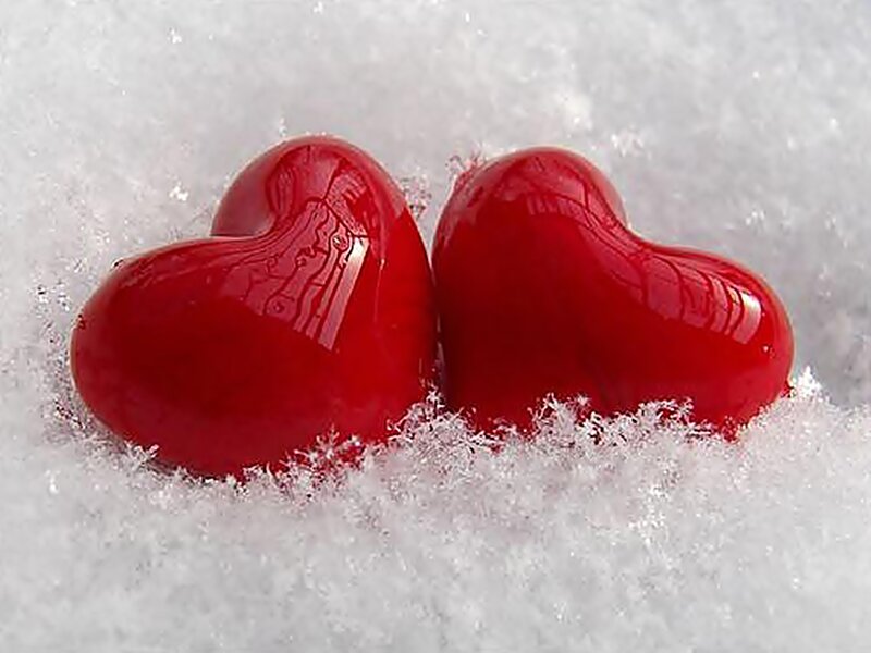 Red Hearts in Snow — Calm