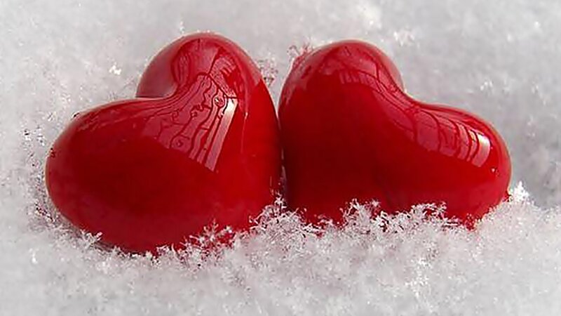 Red Hearts in Snow — Calm, Winter, Photograph